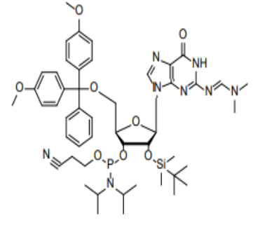 N2-二甲基甲脒-5'-O-DMT-2'-O-TBDMS-鸟苷-3'-氰乙氧基亚磷酰胺