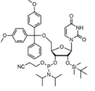 5'-O-DMT-2'-O-TBDMS-尿苷-3'-氰乙氧基亚磷酰胺