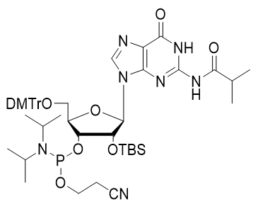 N2-异丁酰基-5'-O-DMT-2'-O-TBDMS-鸟苷-3'-氰乙氧基亚磷酰胺