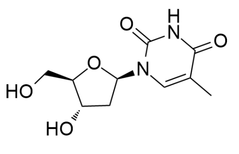 β-胸腺嘧啶核苷