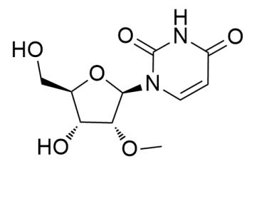 2'-甲氧基尿苷