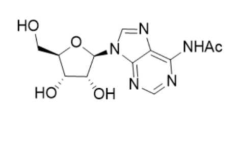 N6-Ac-A