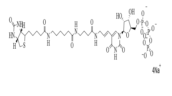 Biotin-UTP