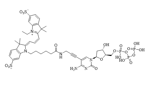 Cy3-dCTP