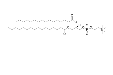 二棕榈酰磷脂酰胆碱(DPPC)