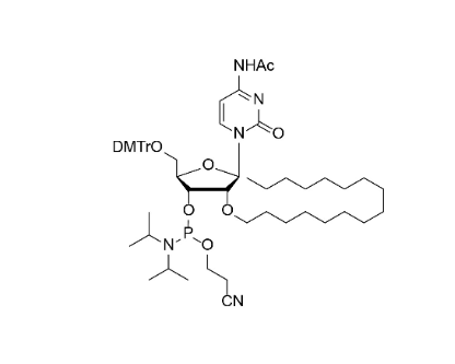 DMTr-2'-O-C16-rC(Ac)-3'- CE-Phosphoramidite