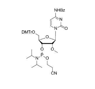 2'-OMe-Bz-C 亚磷酰胺单体