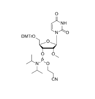2'-OMe-U 亚磷酰胺单体