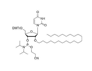 DMTr-2'-O-C22-rU-3'-CE-Phosphoramidite