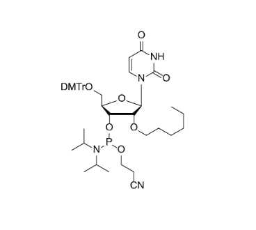 DMTr-2'-O-C6-rU-3'-CE-Phosphoramidite