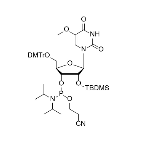 DMTr-2'-O-TBDMS-5-OMe-rU-3'-CE-Phosphoramidite