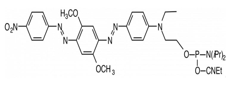 BHQ-2-Amidite