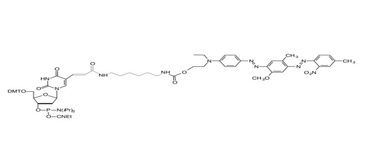 BHQ-1-dT Amidite