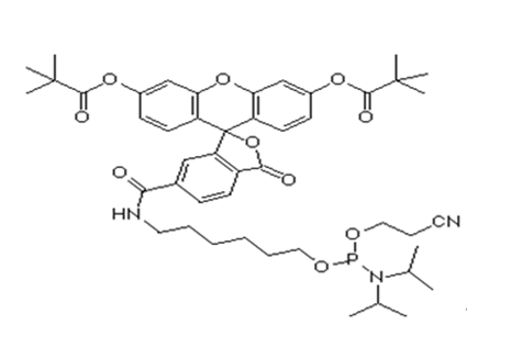 6-Fam-Amidite；5'-Fluorescein CE Phosphoramidite