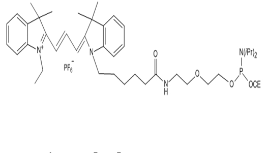 Quasar 570 Amidite