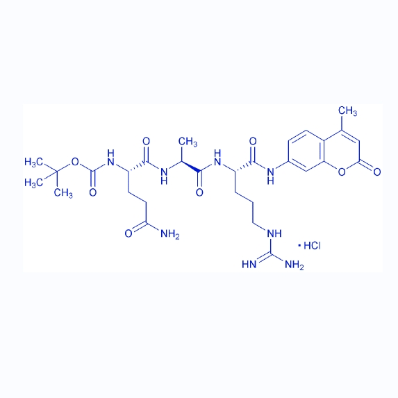 胰蛋白酶底物Boc-QAR-AMC/201849-55-0/Boc-Gln-Ala-Arg-AMC