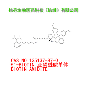 5'-BIOTIN 亚磷酰胺单体 GMP Grade