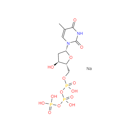 2'-脱氧胸苷 5'-三磷酸