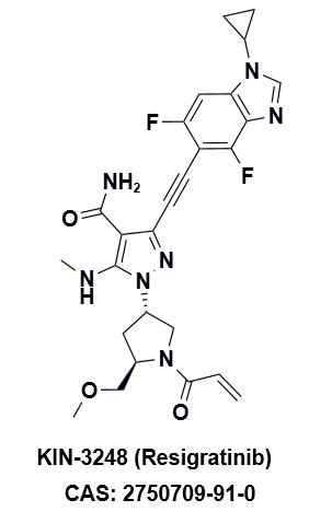 KIN-3248，一种针对泛FGFR突变的第二代抑制剂