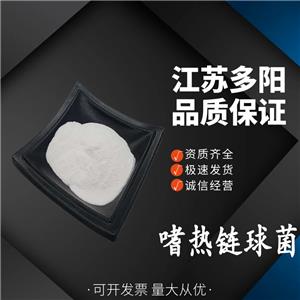 嗜热链球菌 乳酸菌益生菌粉 食品级原料 