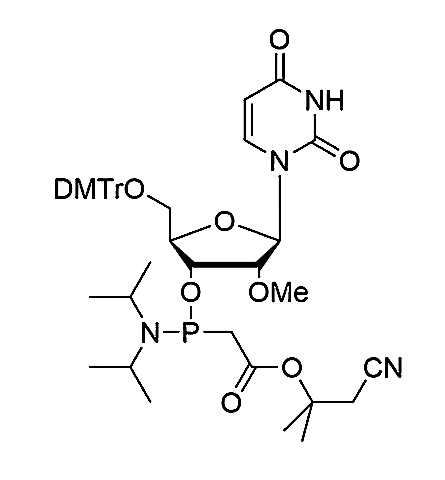 5'-O-DMTr-2'-O-Me-U PACE