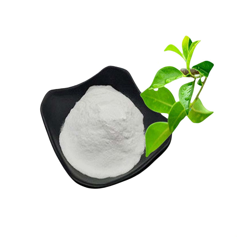 L-茶氨酸 食品级营养强化剂 含量99% 茶叶提取物