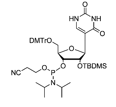 5'-O-DMTr-2'-O-TBDMS-Pseudouridine-3'-CE Phosphoramidite