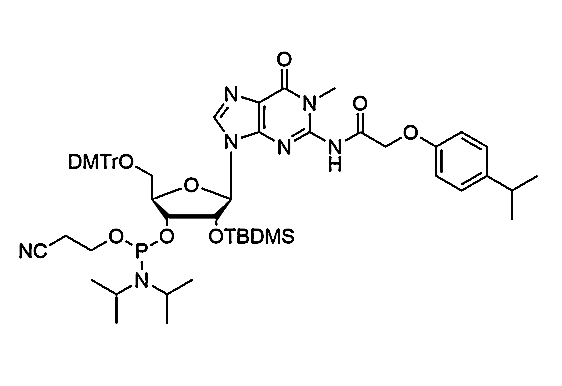 N1-Me-5'-O-DMTr-2'-O-TBDMS-G(iPr-pac)-3'-CE-Phosphoramidite