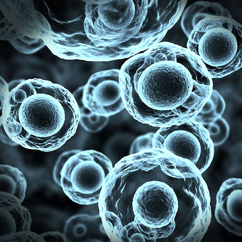 Glycoprotein E (VZV) ACROBiosystems百普赛斯