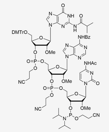 [5'-O-DMTr-2'-OMe-G(iBu)](pCyEt)[2'-OMe-A(Bz)](pCyEt)[2'-OMe-C(Ac)-3'-CE-Phosphoramidite]