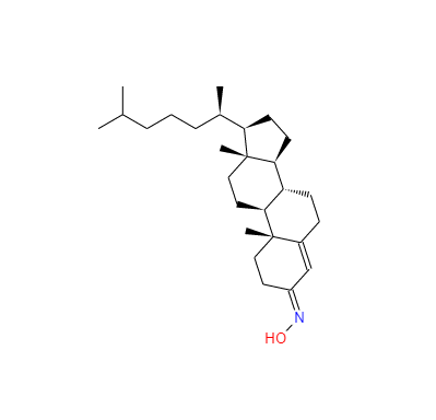 奥利索西