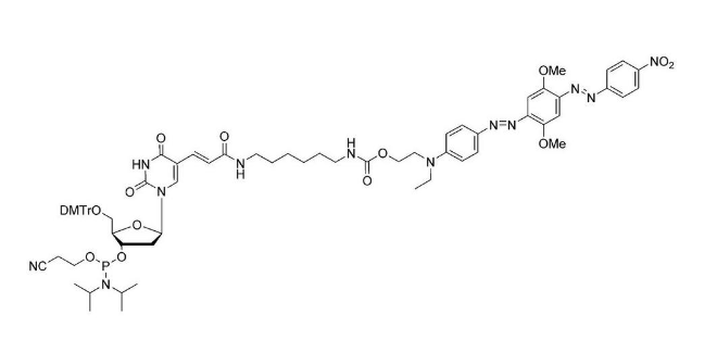 BHQ-2-dT CE-Phosphoramidite