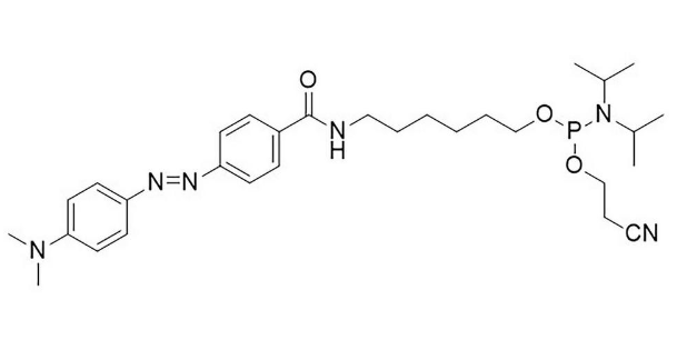 DABCYL Amidite (N-DABCYL-6-Aminohexyl Amidite)