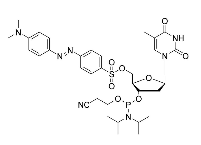 5'-O-Dabsyl-T CE-Phosphoramidite