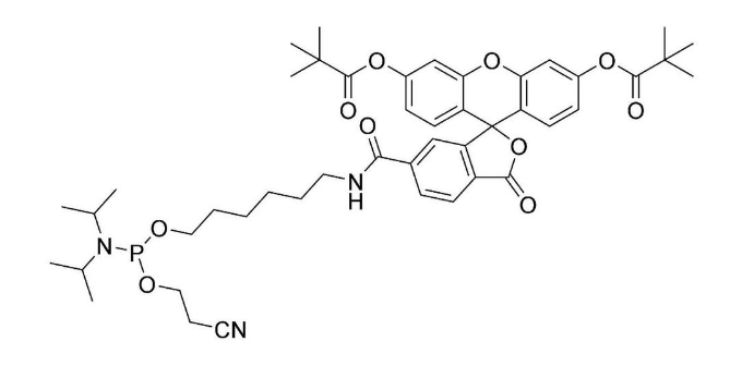 5'-Fluorescein CE-Phosphoramidite (6-FAM)