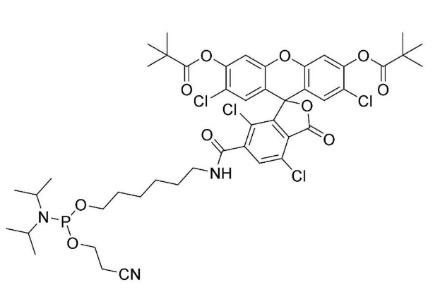 5'-Tetrachlorofluorescein CE-Phosphoramidite (TET)