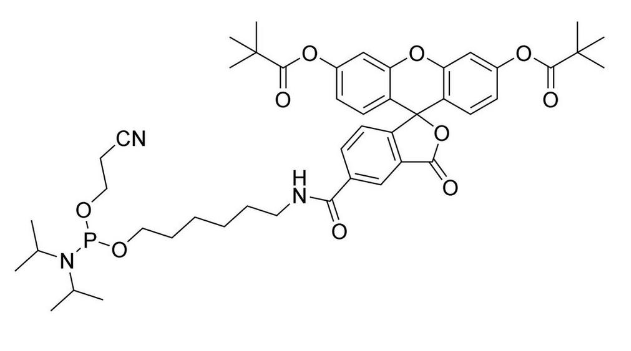 5-FAM, Single Isomer (5-CarboxyFluorescein-Aminohexyl Amidite)