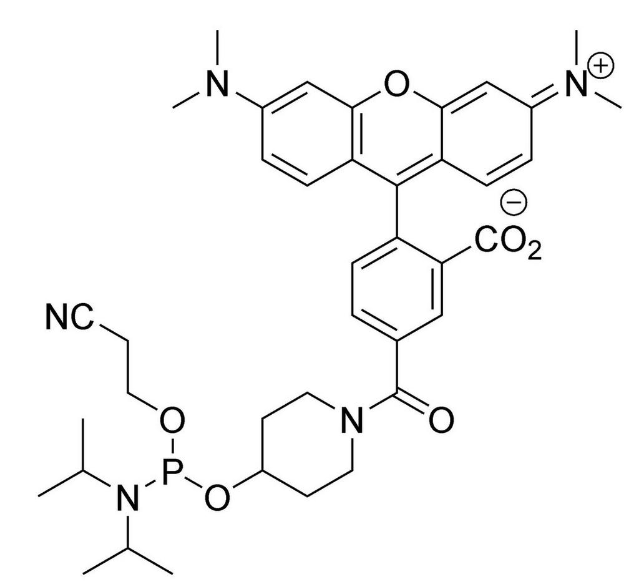 5'-TAMRA Amidite (N-TAMRA-Piperidinyl), 6-Carboxy Single Isomer