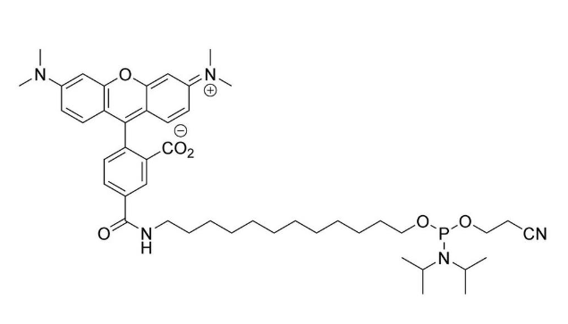 5'-TAMRA C12 Amidite (5-Isomer)