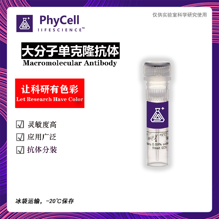 人肝铁蛋白(Ferritin)抗原 79468-83-0