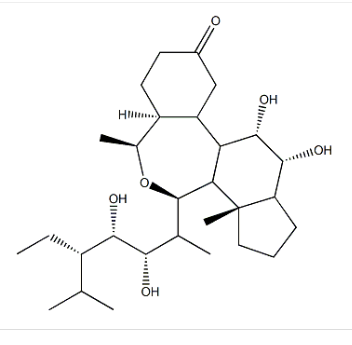 28-表高油菜素内酯