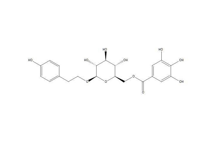CNAS17034实验室供应：6'-O-没食子酰红景天苷|83013-86-9