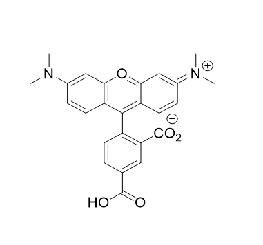 5'-TAMRA C12