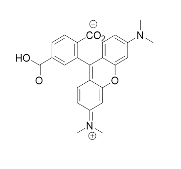 5'-TAMRA(N-TAMRA-Piperidinyl)