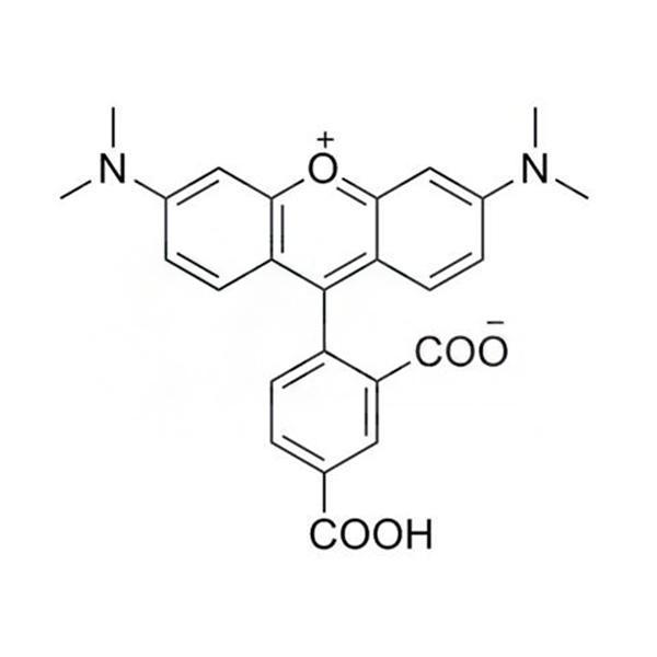 5-TAMRA