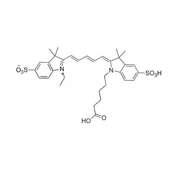 CY5-SE;Cy5-NHS-Ester