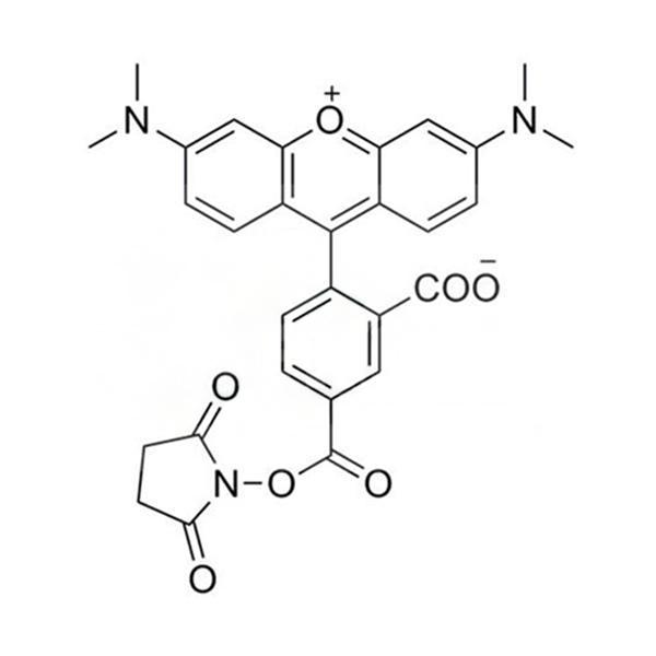 5-TAMRA-SE