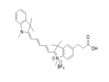 X,5'-Cyanine 5