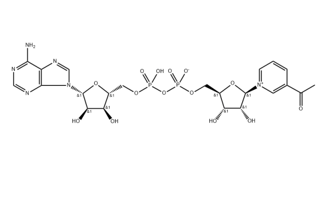 3-乙酰吡啶腺嘌呤二核苷酸