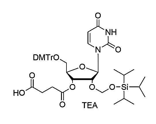 5'-O-DMTr-2'-O-TOM-U succinate